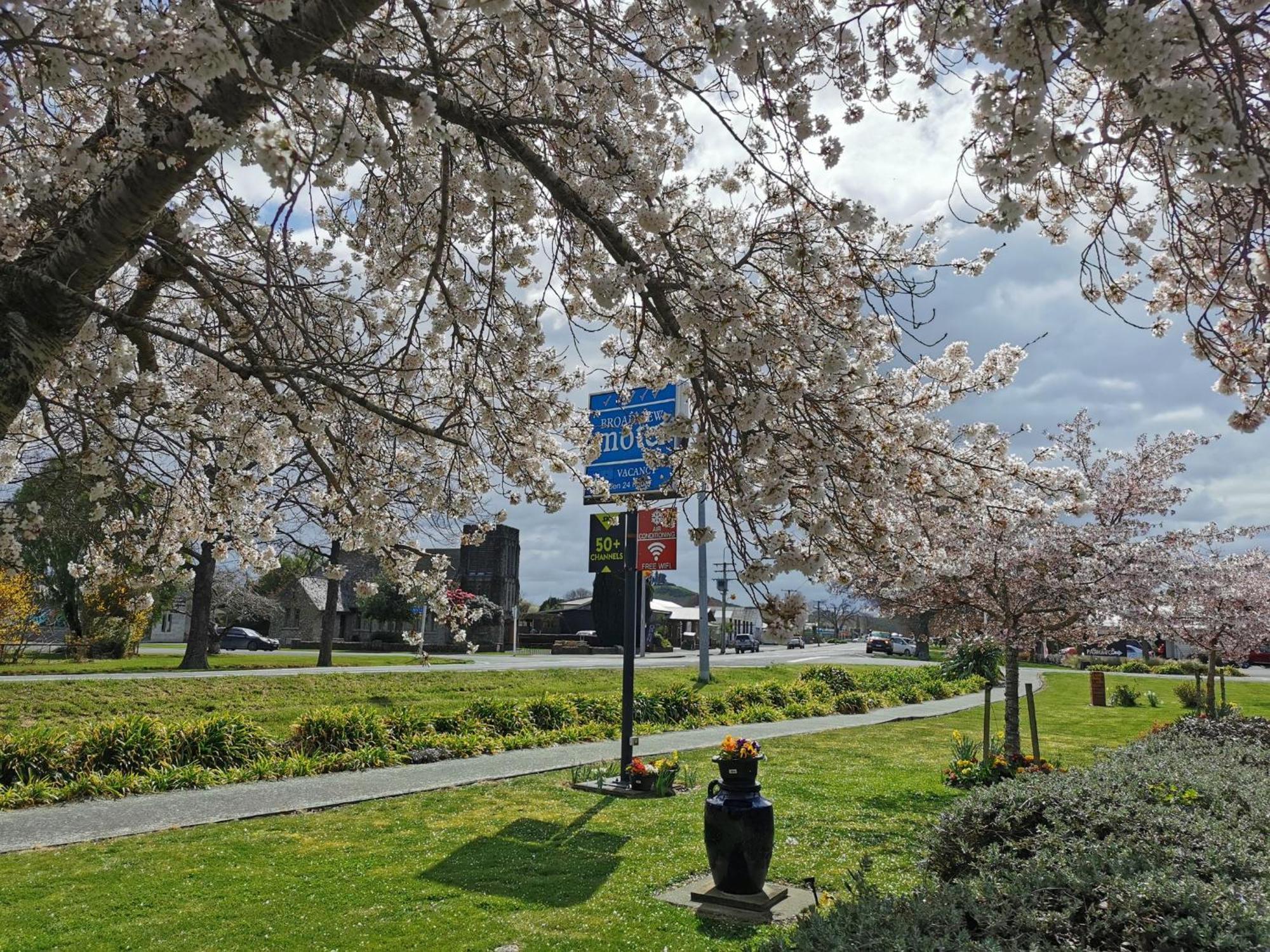 Broadview Motel Cheviot Dış mekan fotoğraf