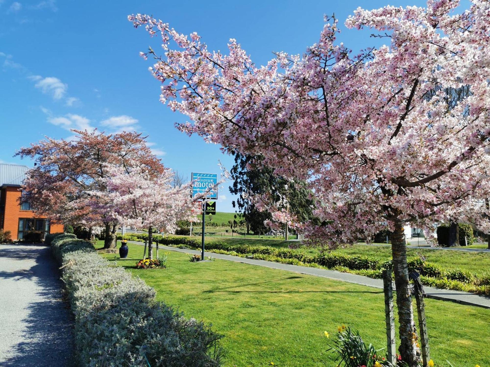 Broadview Motel Cheviot Dış mekan fotoğraf